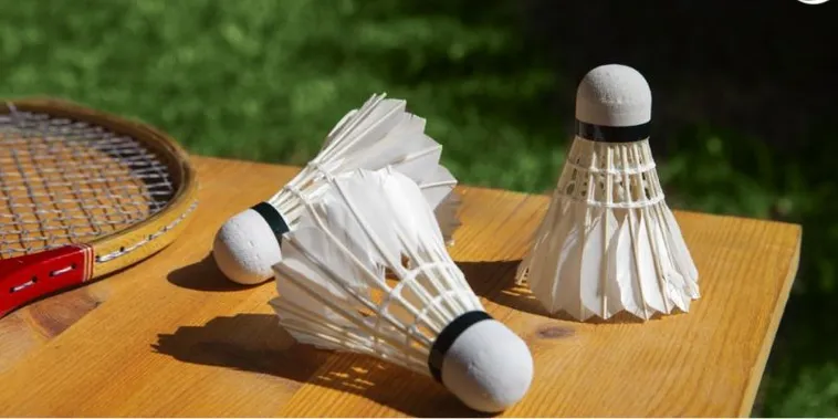 Bật Mí Cách Chơi Cá Cược Cầu Lông Tại Sen88 Trăm Trận Trăm Thắng